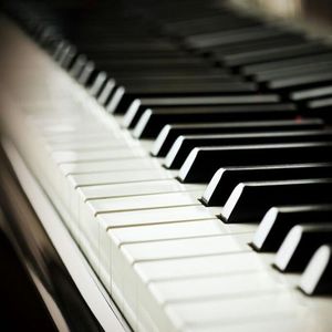 湖州锂电池厂家用小鼠营销导航
