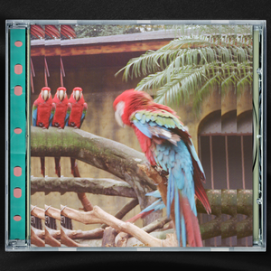 湖州锂电池厂家用小鼠营销导航
