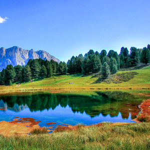 湖州锂电池厂家用小鼠营销导航
