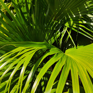 湖州锂电池厂家用小鼠营销导航
